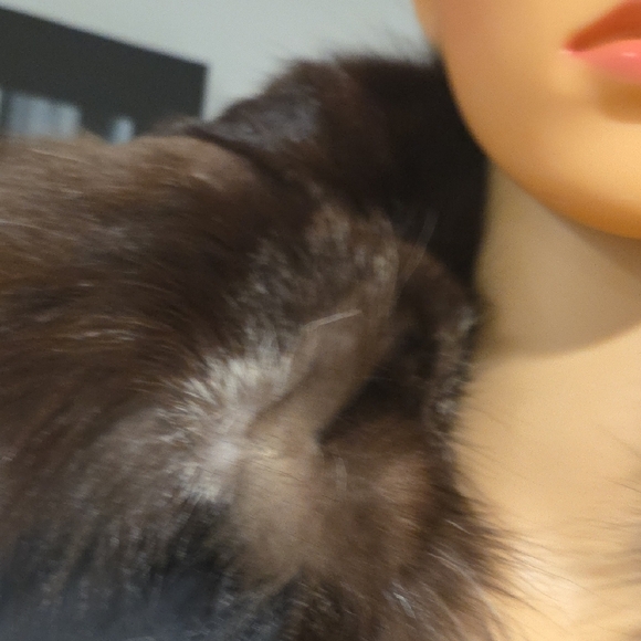 Chic Black Fur-Trimmed Trench Coat - Picture 3 of 14